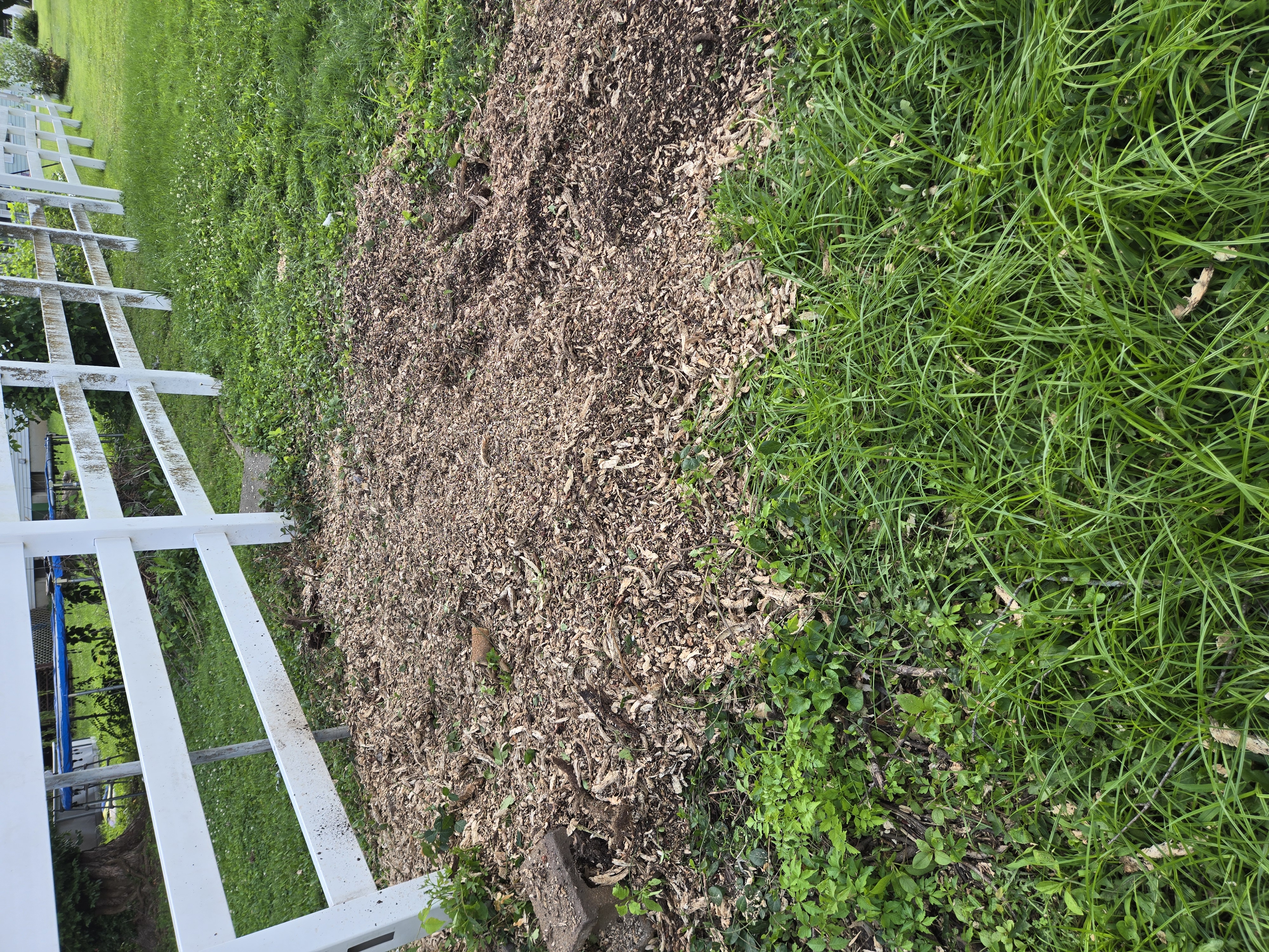 a pile of wood chips